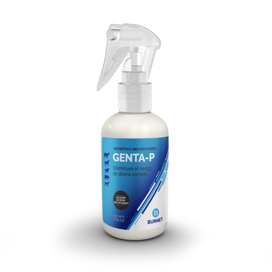 GENTA-P