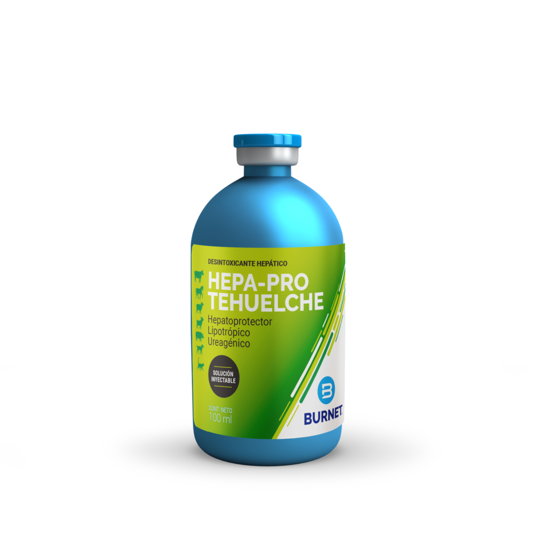 HEPA-PRO TEHUELCHE