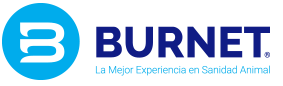 Logo BURNET